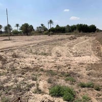 بابل ورديه • سند ٢٤ • ٩٠م