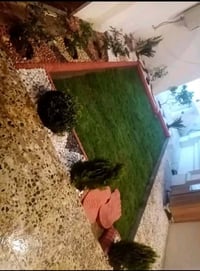 يوجد كادر عمل ديكورات الحدائق بكافة عمل تصميم تنفيذ يعقوب الانباري اخذ...