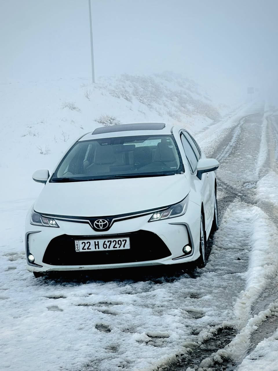 السلام عليكم ، كورولا ساز 2021 بانزين كفالة رقم اربيل بأسمي 
مواصفاتهة معروفة ، مكانهة بابل الاسكندرية ، السعر 162 وبيهة مجال ماشية 82 ، للاستفسار ***********
