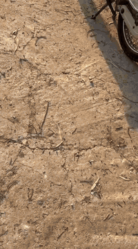 مأطور تايكر للبيع محرك ما مفتوح مكان موصل ايسر السعر 425 
*********** 

***********
