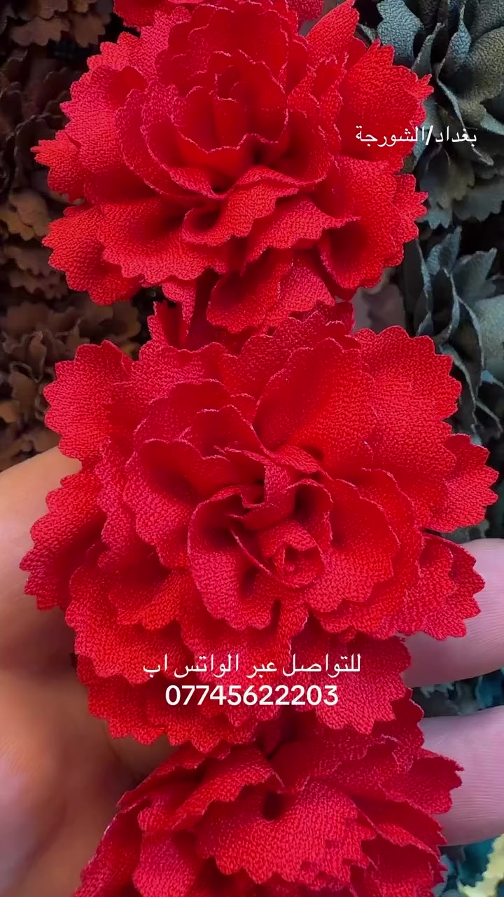 الورد رجع أتوفر بكل الموديلات والالوان ..
متوفر كافة  مستلزمات لوازم الخياطة 🧵🪡
بأنسب الأسعار 🔥🔥
يوجد خدمة التوصيل إلى العراق 🇮🇶 
البيع بالجملة والكميات فقط 
جميع البضاعة استيرادنا الخاصه
العنوان بغداد الشورجة تحت التكية 
للتواصل  والحجز عبر الواتس اب فقط 
***********
