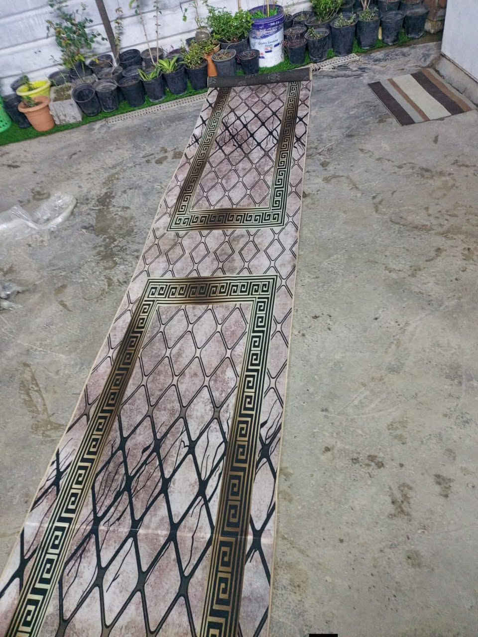 لبيع كلمن وسعره نضيفات كلش


**إذا كنت صاحب هذا الإعلان وتريد حذفه لأي سبب، رجاءا أرسل رسالة إلى الدعم الفني**