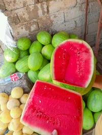طماطه • باميه • بطيخ