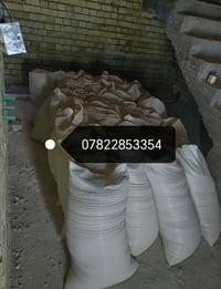 اخويه اذا تحتاج جص الجزيره او النجف مع العمال والكواني فوك جوه خابر وب...