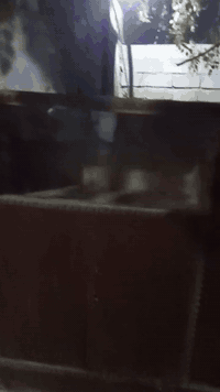 السلام عليكم بوفيه وثلاجه لبيع مثل ماموضح بالفيديو اريدهم ب١٢٥ الف اثنينهم وبيهم مجال الاتصال على الرقم ***********
