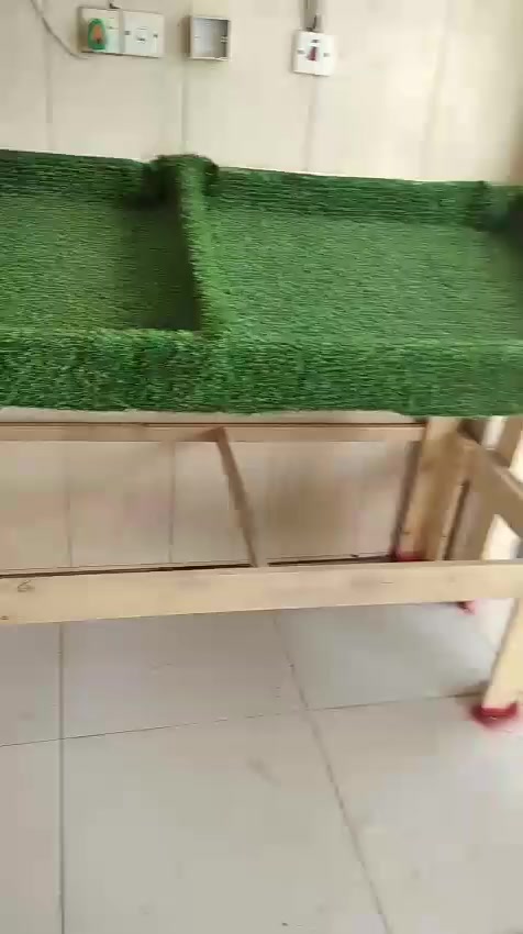 للبيع رفوف مال مخضر غير مستعملات 
سعر 250وبيه مجال
للتواصل ***********
