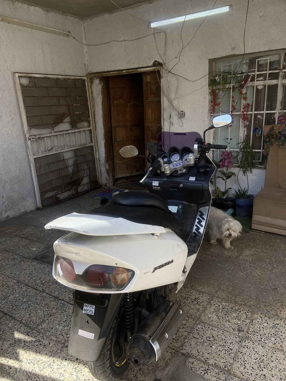 فورزه صفر سته
دراجه شلعه ومعدل تخبل انطيكياها ع سريع وشوفه
رايده ب 500 مكاني الغزاليه 
*********** متواجد واتساب
