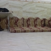 تخم ارضي • خليجي • يكفي ٧×٤