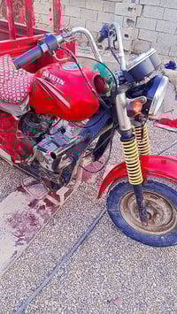 شباب ستوته سعر 850 السعر رقم 07719358062