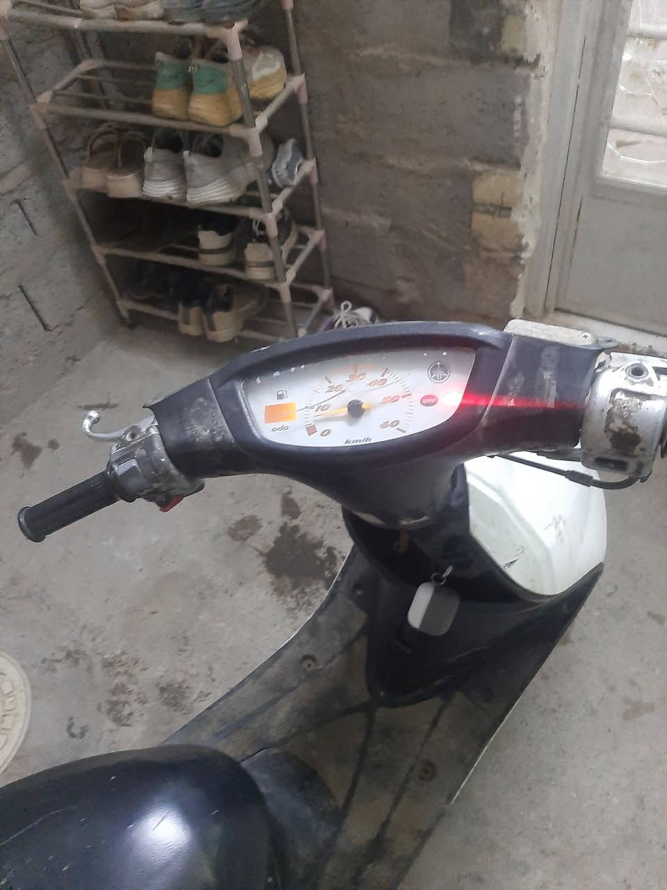 السلام عليكم دراجه عصفوريه للبيع مكان قميره جزيره سياحيه اللي يريد ينتصر علىم سعرها ب 250 وبيها مجال سلف هندر ماكينه ناعمه شيك وتاخذ اللي يريد نتصل على هذا الرقم ومخاطركم ولا طيب***********
