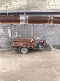 ستوته للبيع   اوراق  ضائعه محجر  ستوته خير من الله مال واحد يريد يعيش ...