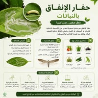 حفّار الأنفاق • مكافحة آفات • بابل الحلة