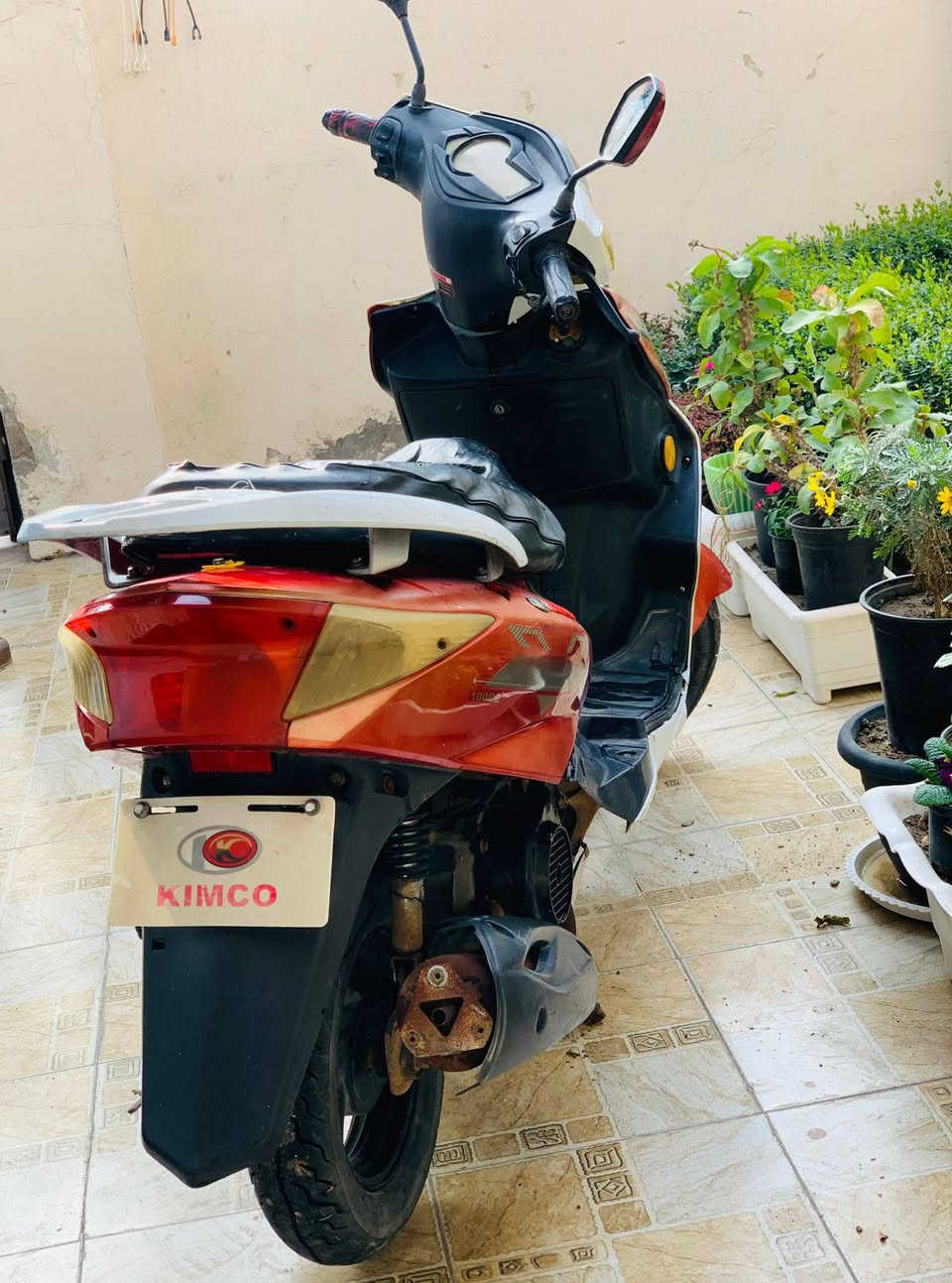 دراجة للبيع كامله مابيها اي نقص
السعر//225 
حله مركز المدينة 
***********
