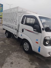 مسكر • ٢٠١٩ • كفالة عامة