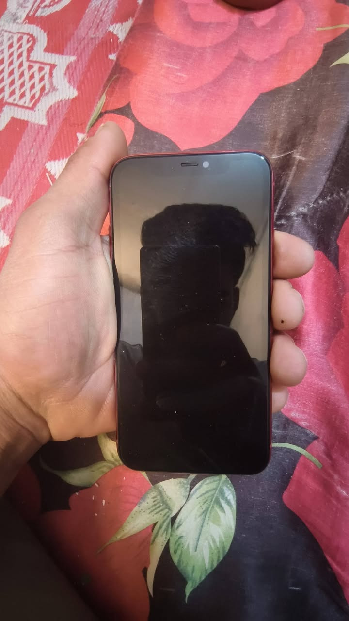 ايفون ١١عادي
ذ ٦٤

مبدل شاشه 

بطاريه ١٠٠

نضيف وحلو الجهاز ستعمال شخصي 

للبيع او للمراوس سعرها ب٢٥٠وبي مجال حك الجيه


**إذا كنت صاحب هذا الإعلان وتريد حذفه لأي سبب، رجاءا أرسل رسالة إلى الدعم الفني**