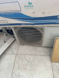 سبلت شغال • موسم واحد • بغداد السيدية