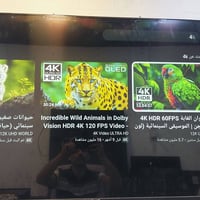 شاشة ٥٥بوصة • فول سمارت • استخدام قليل