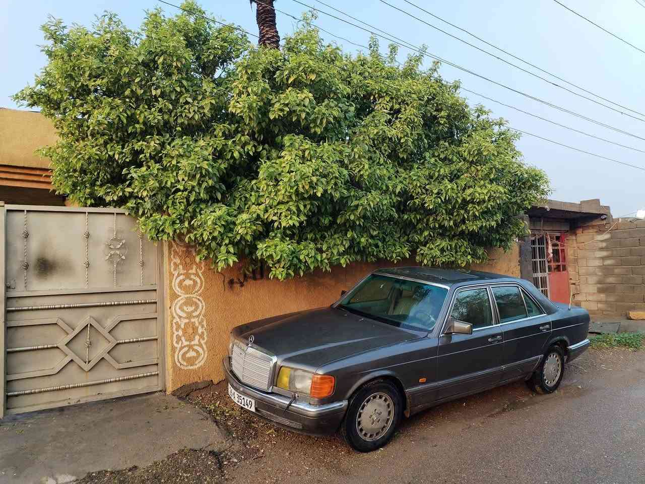 مرسدس 91مديل رئاسي سياره مكينه كير كله شرط الفحص مكينه محور تبريد شغال ثلج سيارة منقصهه اي شي صدر جديد  سعر 50
مكان تاجي منشأ نصر
***********
