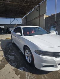 تشارجر SXT • ٢٠١٨ • حادث خلفي خفيف