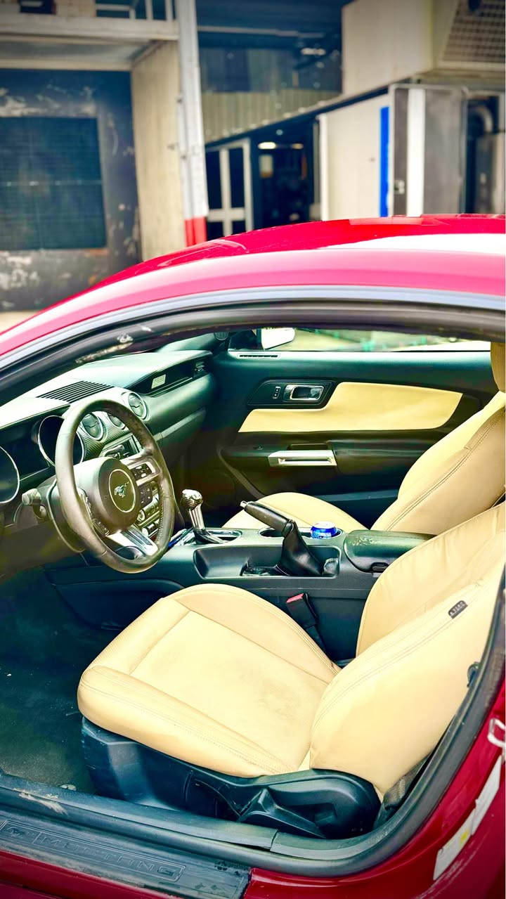 السلام عليكم موستنك 2017 v6 كير اوتو رقم اربيل مصبوغه احزام بچم كبس السياره كامله مكمله مكينه كير صدر امامي وخلفي كله جديد شرط الفحص داخل جديد السياره بدون نقص ويل 19 اصلي تبريد تدفئه جاهزه للاخير السعر 128 مكاني الغزاليه *********** بغداد, العراق
