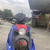 سكنس جبلي مزود التزويد   ايدات بريك  ستيرن  مزود  قبق فلاوين  قطره كلج...