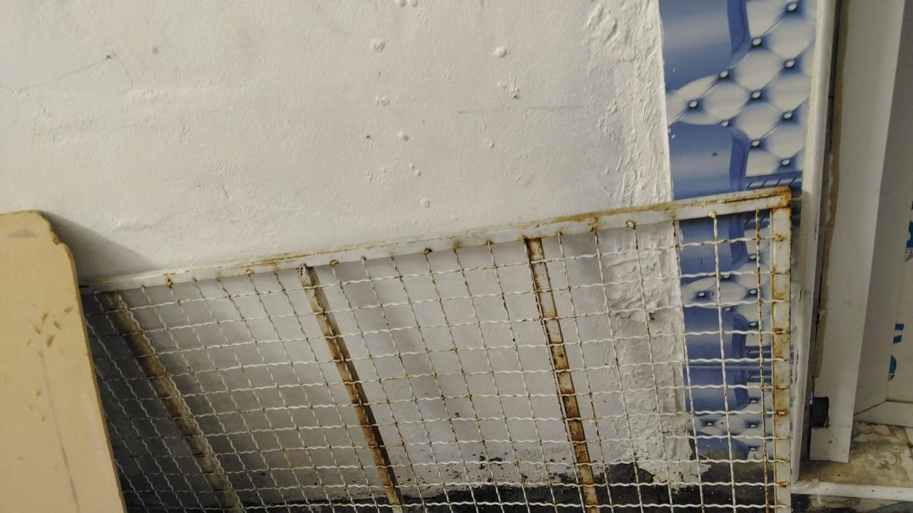 سلام عليكم البيع والسعر العجانه 350قفلها والجربايه 25 العنوان السماوه حي الشهدا الول واي ستفسار ع الخاص والي مو شراي لا يدخل رجان


**إذا كنت صاحب هذا الإعلان وتريد حذفه لأي سبب، رجاءا أرسل رسالة إلى الدعم الفني**