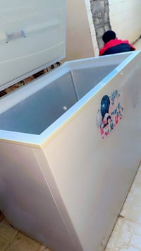 مجمده • دور زراعه القدس