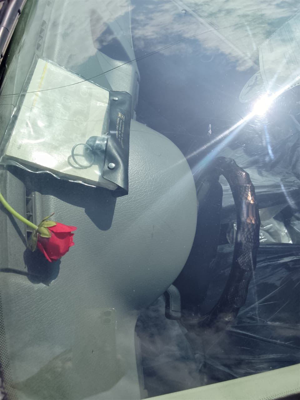 استرا

حجم 16 ✔️

گير عادي 

رقم نينوئ ( انكليزي) 

بأسمي انا الشرعي  ( تحويل ثاني يوم ) 

باقيه بس عل استلام لوحات  هزه جديد 

سنوية عظم جديد 

سياره بلاديه بدون صبغ بدون اي ضرر 

غرفه نضيفه 

فتحتة سقف 

دبل ايربك حساس مرايه 

ستيرن بور سياره فول

تدفئه  طخم جديد 

طخم تايرات جديد 

شرط سياره بلاديه وجاهزه من كلشي 

سياره فقط دواير او دوسات 

بدون اي ضرر 

السعر ٣٨ وبيها مجال 

مكاني موصل شارع بغداد / رقم التلفون  

*********** : ***********
