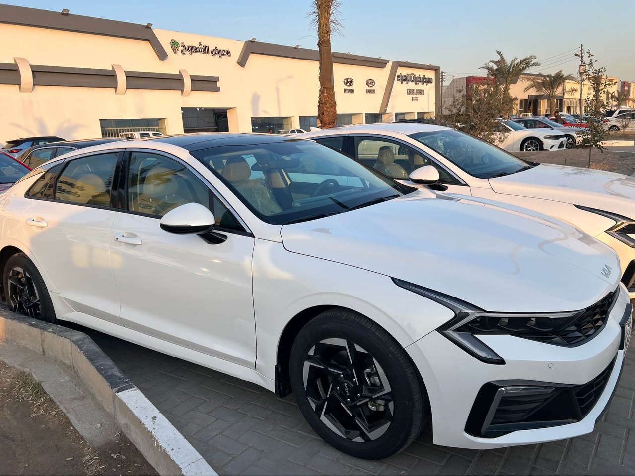 سلام عليكم k5 مديل 2024 السياره كفاله عامه ماشيه ٣٠ الاف فول فول كشنات جلد و فتحه بنوراما خليجي  ملاحضه السياره  بيه شخط  باب السايق فقط السعر ب 225 و بيه مجال  السياره موجوده داخل معرض الفيحاء 1 في القبله الاستفسار ع *********** Singapore
