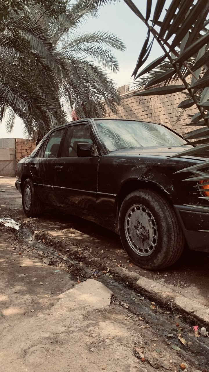 سلام عليكم مارسدس 87 رقم إنكليزي بصرة كير ومحرك بطة  تحويل ثاني يوم  سنوية لل27  ترهم مراوس أو بيع السعر 45 رقم الهاتف واساب فقط ***********
