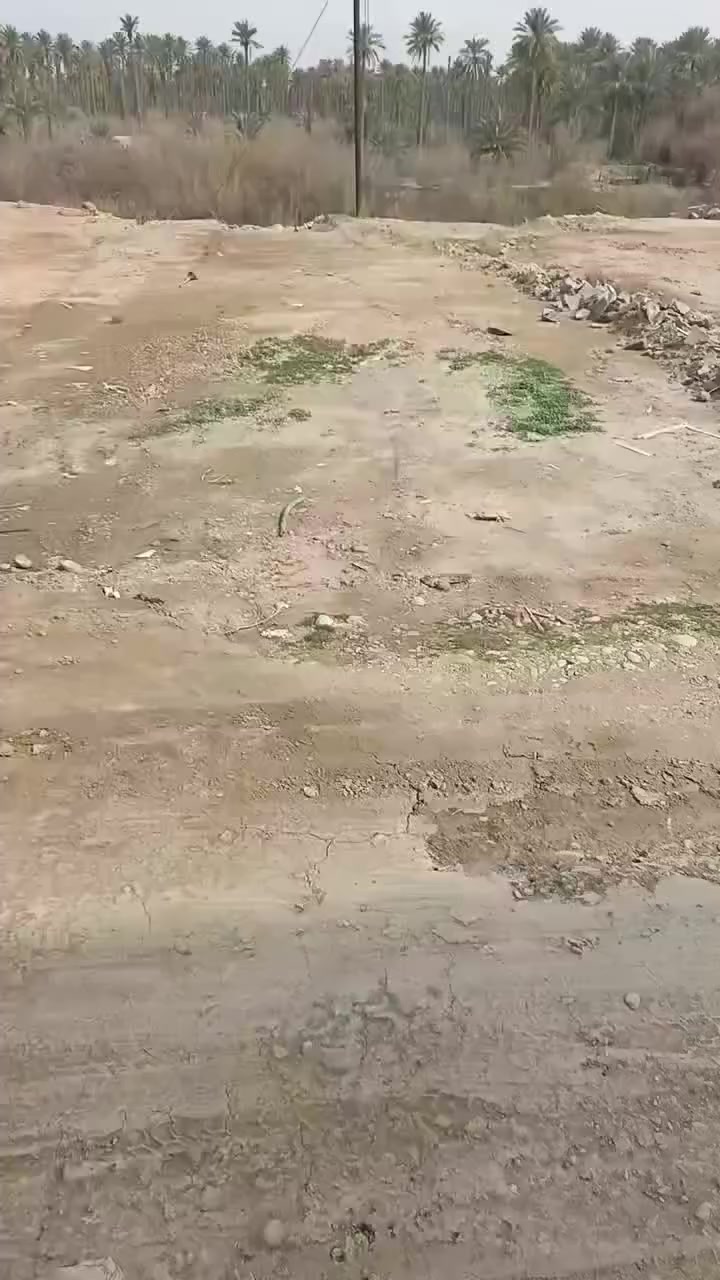 للبيع قطعة ارض مساحة 120 متر
زراعي سند 25 اطل على نهر ديالى
وجه 8ونص خدمات كاملة موقع بعقوبة خلف مجمع نوروز مباشر
توضيح كامل داخل الفيديو استفسار
***********
