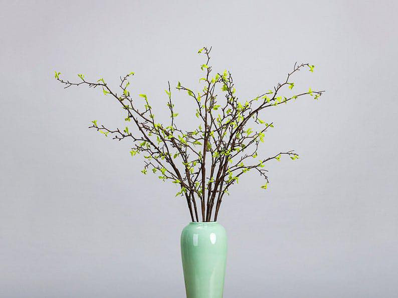 اهلا وسهلا بكم معرض انسب الاسعار 
للمواد المنزليه وادوات المطبخ وكل ماتحتاجه العائله 
للبيع بلنقد ولقسط زورنا ستجدون مايرضيكم 
السده العلكايه شارع العريض 
***********
***********
