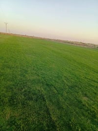 الثيل الهندي درجه الأولى للحجز الاتصال او المراسلة على الواتساب على ال...