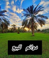 دونم للبيع طابو زراعي سند 25 على طابو الشعب واجهية الدونم ٣٧ ونزال ٥٦ ...