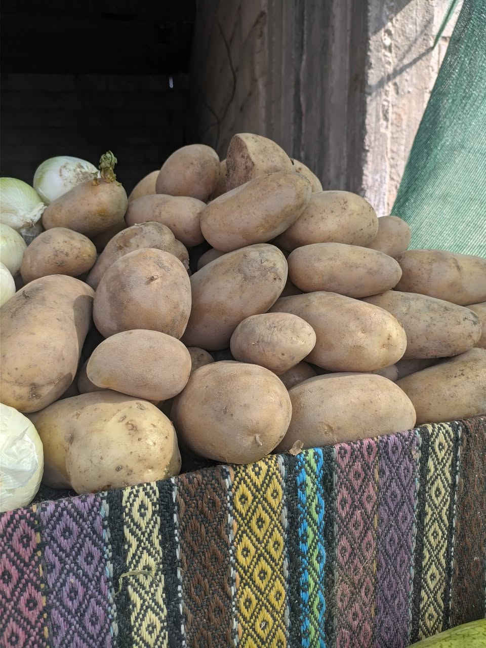 على بركه الله مسواگ جديد درجه اولى مقابيل لوفه الحزام يم صالح الداوود كلشي متوفر
ركي شرط السكين 500 دينار 🍉🍉

بطيخ درجه اولى شرط الحلا 500دينار 🍈🍈

طماطه 3 بألف 🍅🍅🍅
خيار 3 بألفين 🥒🥒🥒
فلفل بارد ألف 🫑🫑🫑
فلفل حار ألفين 🌶️🌶️
باميه درجه أولى ألفين دينار 🫛🫛
بتيته 3 كيلوات بألفين 🥔🥔
بصل كرستال 3 كيلوات بألفين 🧅🧅
بيذنجان 3 كيلوات بألفين 🍆🍆
ثوم درجه اولى 3 الكيلو 🧄🧄
تفاح ابراهيمي درجه اولى عسل بألف دينار 🍎🍎

يوجد توصيل ***********
