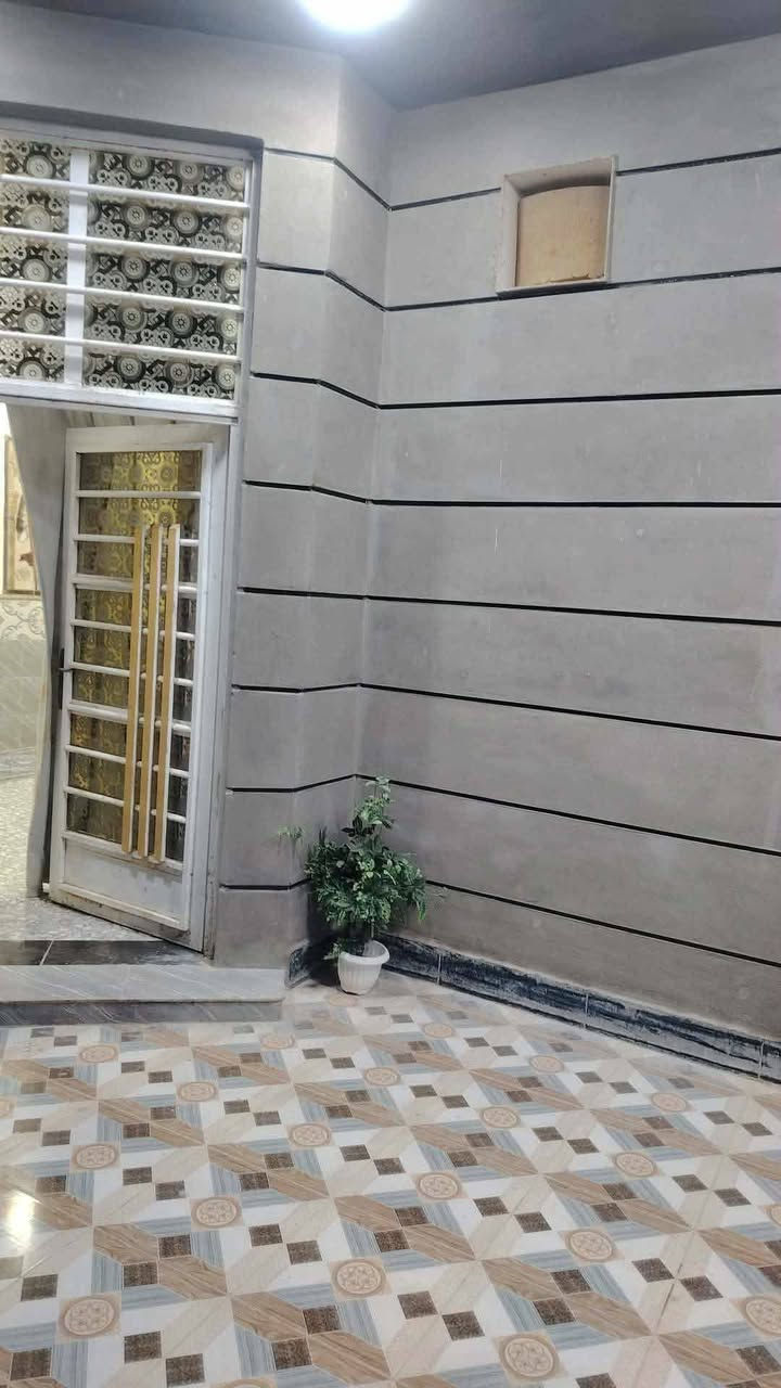 بيت 230مساحته ركن كوت جديده شارع 12 طابو صرف زراعي  متوفره كل الخدمات *********** اي استفسار الاتصال على رقم
