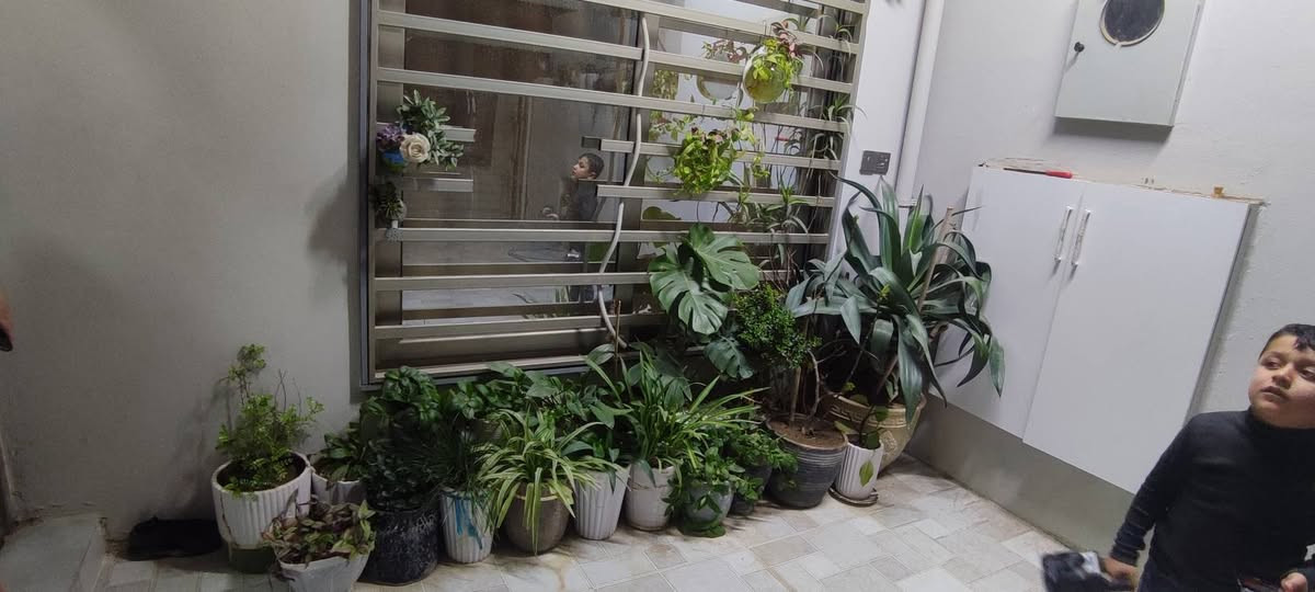 مرحبا عندنا هاي 33 شطل للبيع سعر 125


**إذا كنت صاحب هذا الإعلان وتريد حذفه لأي سبب، رجاءا أرسل رسالة إلى الدعم الفني**