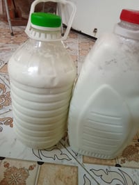 حليب جاموس • شرط الحجز • خاص