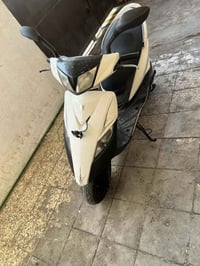 ماكس ثعلب • مكفولة كفالة • أبو غريب الزيتون