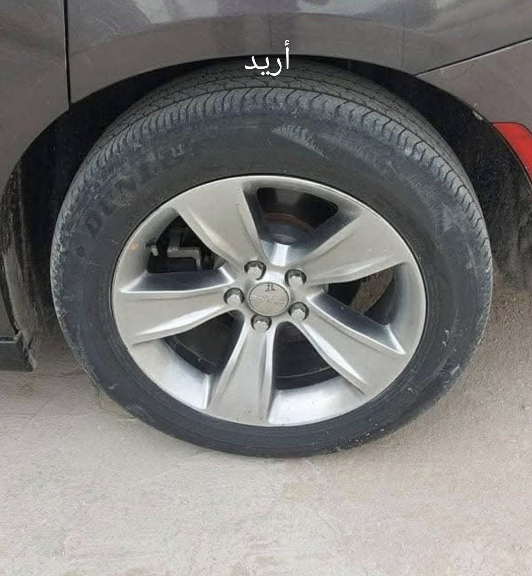 سلام عليكم أريد مراوس 
***********
