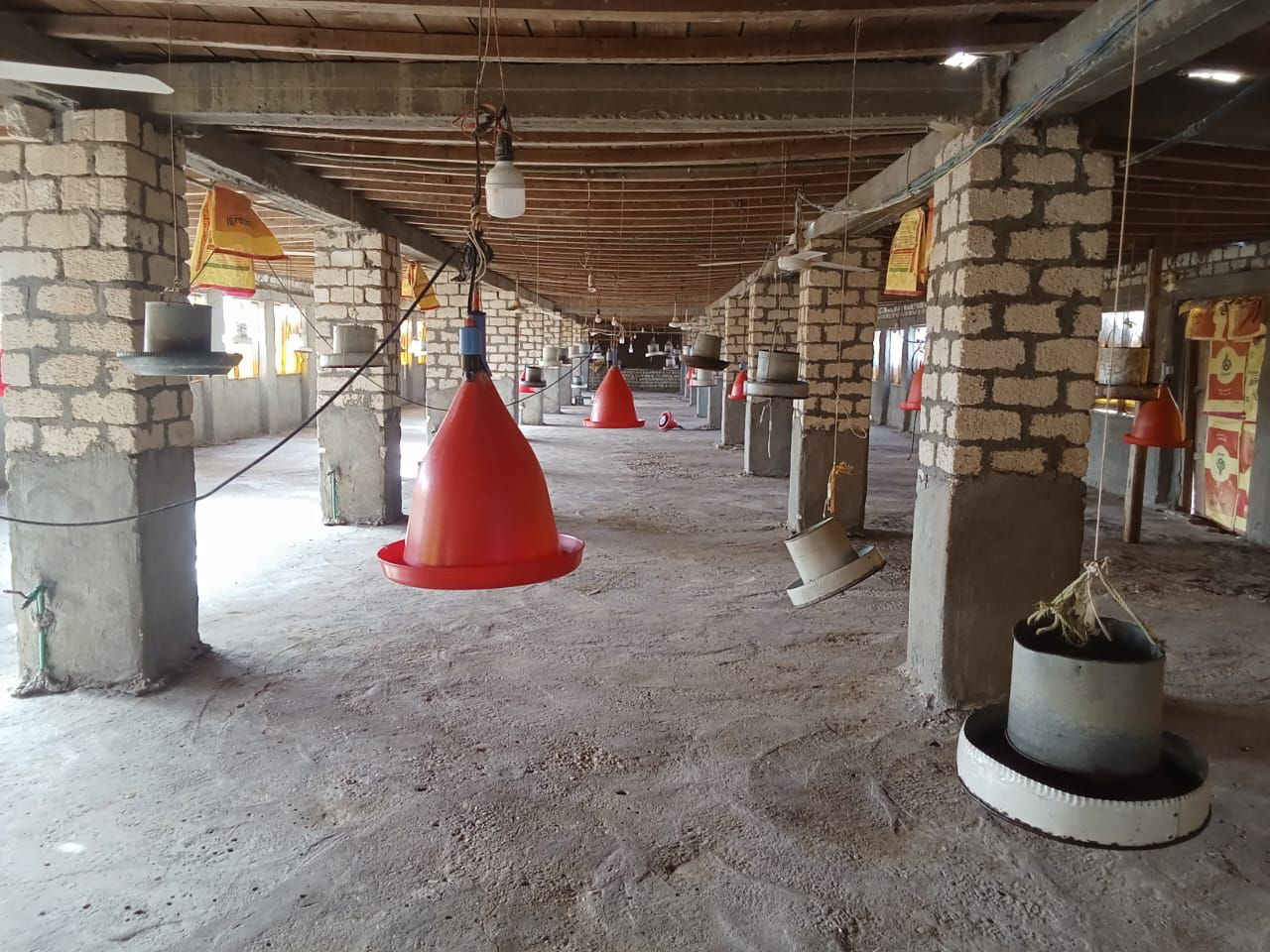 مزرعة الدواجن:
- مزرعة دواجن بيضاء للايجار
- مكيفه وجاهزه علي الشغل
- بتشيل 5000 كتكوت 🐤
- سطحها معزول بوتامين عازل
- مزودة ب:
- خلايا تبريد حديثة
- شفاطات تهوية قوية
- سقايات وعلافات متكاملة
- مياه شرب نظيفة وكهرباء متوفرة
- تحت إشراف دكتور متخصص في مجال الدواجن

للاستعلام اكتر.. 01033654723
01141388209


**إذا كنت صاحب هذا الإعلان وتريد حذفه لأي سبب، رجاءا أرسل رسالة إلى الدعم الفني**