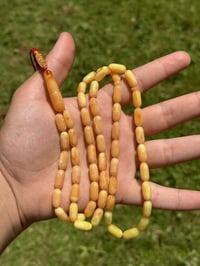 سبحة • كهرب بولوني • ٥٤حبة