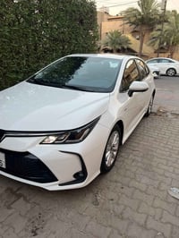 كورلا • ٢٠٢٤ • رقم بغداد