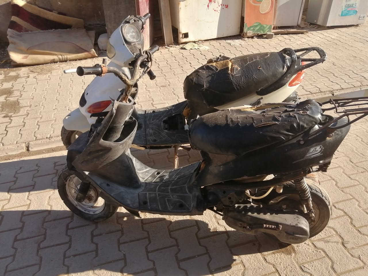 بيجي ودولفين للبيع ثنينهن شغالات بيع مستعجل ١٧٥ مكان رميثه رقمي ***********
