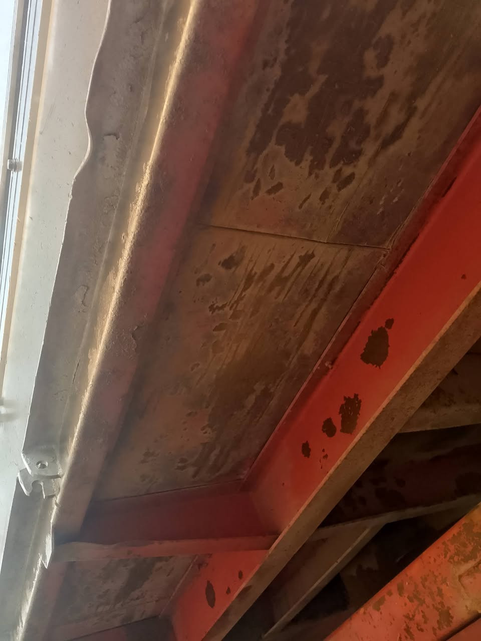 بدي فافون بلادي بيع أو مراوس بصره قضاء الدير *********** طوله خمسه وربع
