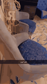 السلام عليكم... تخم تركي للبيع درجه اولى ابو السرير ستل استيل من مول المختار ماخذي قبل فتره بسيطه جدا  وثلاجه نوع هاينزيز كبيره جدا وبنفس الوقت هيه مجمده... السعر التخم ب ٧٠٠ الف والثلاجه ب ٥٠٠ الف دينار مكان الاثاث السيديه قرب هبي هوم... رقم الاتصال ***********
