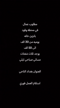 بغداد التاجي • وظائف