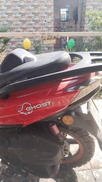 دراجه سكنز • موديل 24 • طوريج