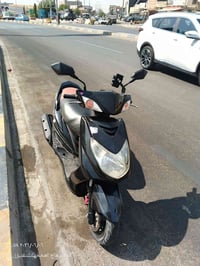 سكنس فحل • ياباني