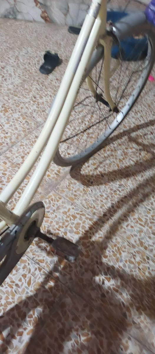 سلام عليكم باسكل للبيع حجم 26 باسكل نصيف مال روحه وجيه باسكل مايعوزو شي السعر 70 وبي  مجال مكاني حي انتصار شارع 30


**إذا كنت صاحب هذا الإعلان وتريد حذفه لأي سبب، رجاءا أرسل رسالة إلى الدعم الفني**